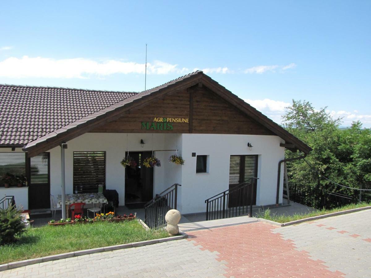 Agropensiunea Maris Feleacu Buitenkant foto