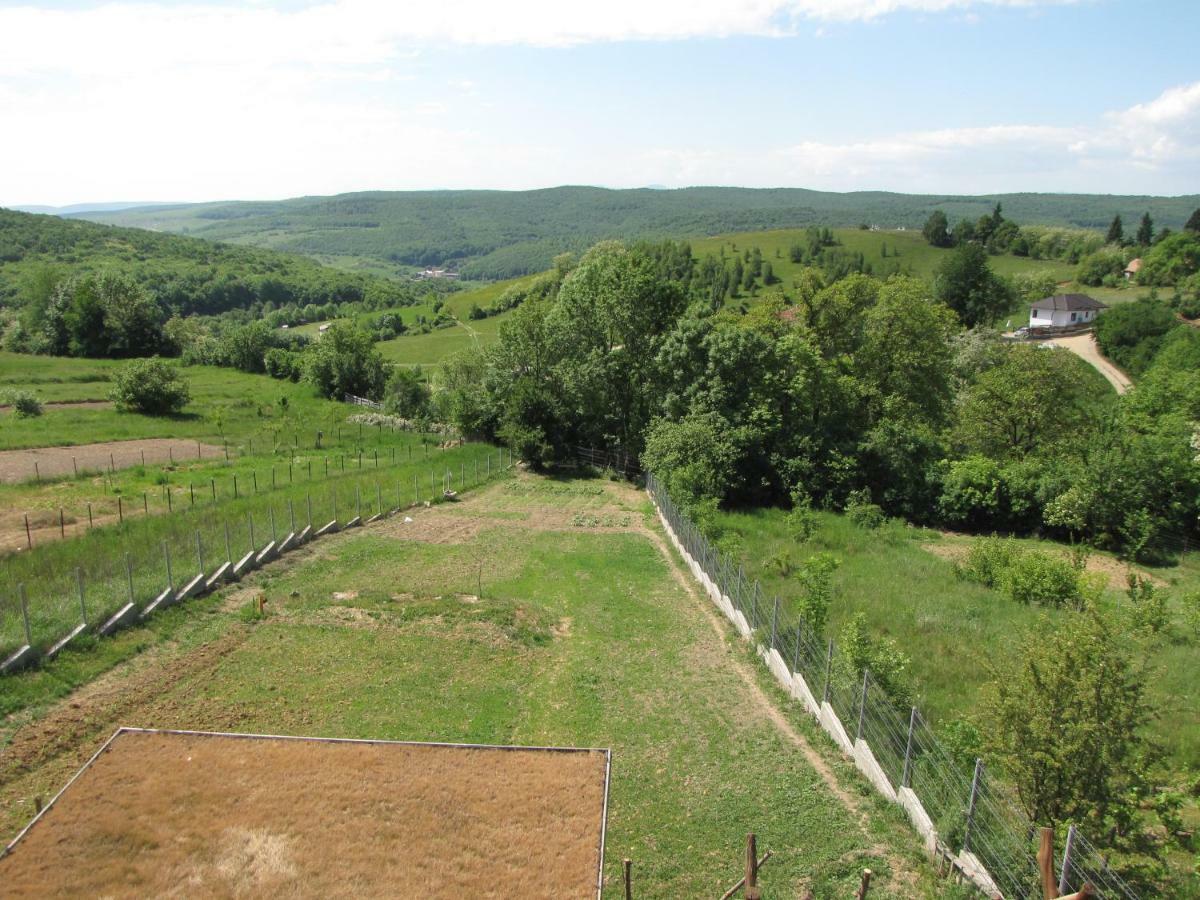 Agropensiunea Maris Feleacu Buitenkant foto